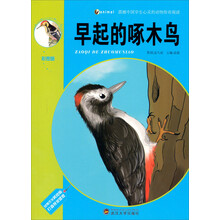 震撼中国学生心灵的动物传奇阅读：早起的啄木鸟（彩图版）