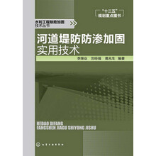 水利工程除险加固技术丛书：河道堤防防渗加固实用技术