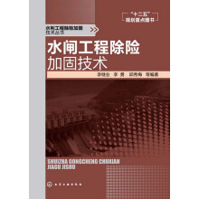 水利工程除险加固技术丛书：水闸工程除险加固技术