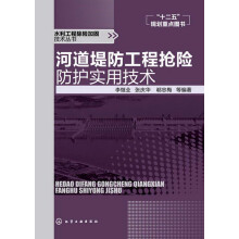 水利工程除险加固技术丛书:河道堤防工程抢险防护实用技术