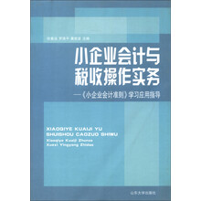 小企业会计与税收操作实务：《小企业会计准则》学习应用指导