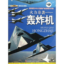 视觉大发现·火力奇袭:轰炸机