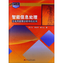 智能信息处理在电网故障诊断中的应用