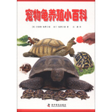 宠物龟养殖小百科