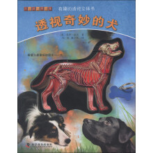 有趣的透视立体书：透视奇妙的犬