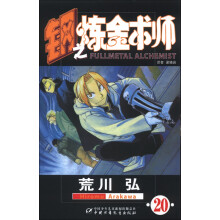 钢之炼金术师20