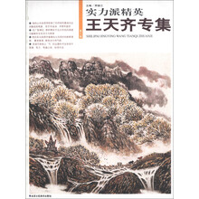 实力派精英(第8辑):王天齐专集