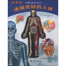 有趣的透视立体书：透视奇妙的人体