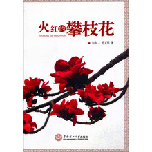 火红的攀枝花