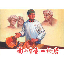 南瓜生蛋的秘密