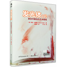 发光体2号：亲历中国当代艺术现场