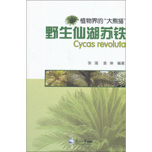植物界的“大熊猫”：野生仙湖苏铁