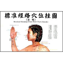 标准经络穴位挂图(女性附4张挂图1本说明书)