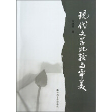 现代文学比较与审美