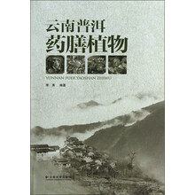 云南普洱药膳植物