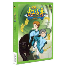 武当虹少年2：灵豹疑云