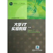 普通高等教育“十一五”国家级规划教材：大学IT实验教程（第6版）