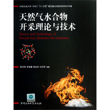 天然气水合物开采理论与技术