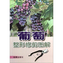 葡萄整形修剪图解
