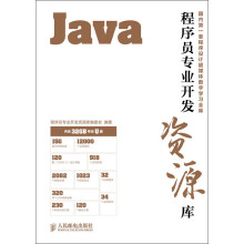 程序员专业开发资源库：Java（附32GB专业U盘）