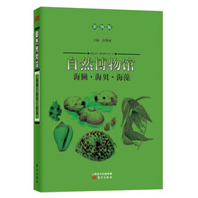 自然博物馆：海獭·海贝·海藻（彩图版）
