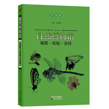 自然博物馆：蝴蝶·蜻蜓·蜜蜂（彩图版）