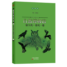 自然博物馆:猫头鹰·雄鹰·雕(彩图版)