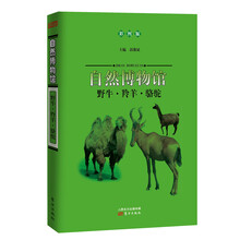 自然博物馆:野牛·羚羊·骆驼(彩图版)