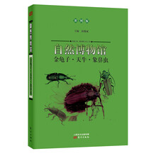 自然博物馆:金龟子·天牛·象鼻虫(彩图版)