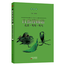 自然博物馆:孔雀·鸳鸯·鹭鸟(彩图版)