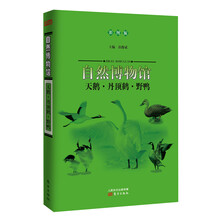 自然博物馆：天鹅·丹顶鹤·野鸭（彩图版）