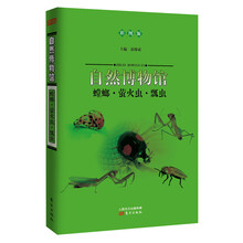 自然博物馆:螳螂·萤火虫·瓢虫(彩图版)