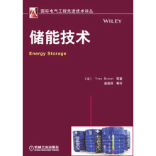 国际电气工程先进技术译丛:储能技术
