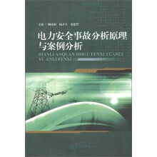 电力安全事故分析原理与案例分析