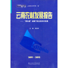 2011-2012云南农村发展报告：“桥头堡”战略下的云南农村发展