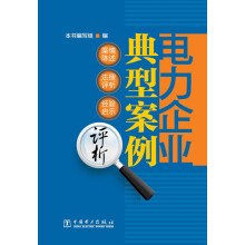 电力企业典型案例评析