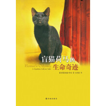 盲猫荷马的生命奇迹