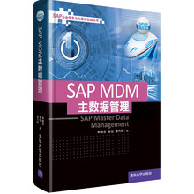 SAP、MDM主数据管理