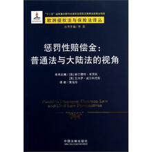 惩罚性赔偿金:普通法与大陆法的视角