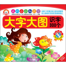 小白兔童书馆·我的小小知识馆:大字大图识字300个(附VCD光盘1张)