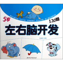 左右脑开发120题：5岁