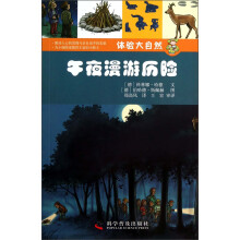体验大自然：午夜漫游历险