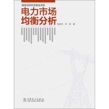 电力市场均衡分析