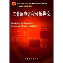 全国工程硕士专业学位教育指导委员会推荐教材:工业反应过程分析导论(上海研究生教学用书)