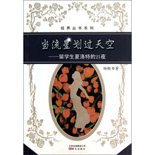 视界丛书系列·当流星划过天空：留学生夏洛特的21夜