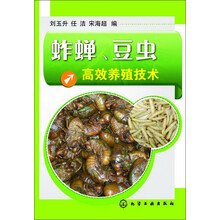 蚱蝉、豆虫高效养殖技术