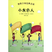 世界少年经典文库：小灰色人