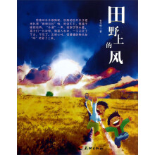 田野上的风