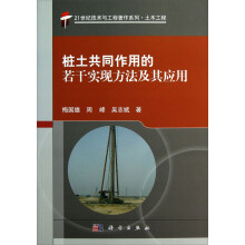 21世纪技术与工程著作系列·土木工程:桩土共同作用的若干实现方法及其应用