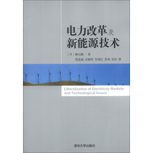 电力改革及新能源技术